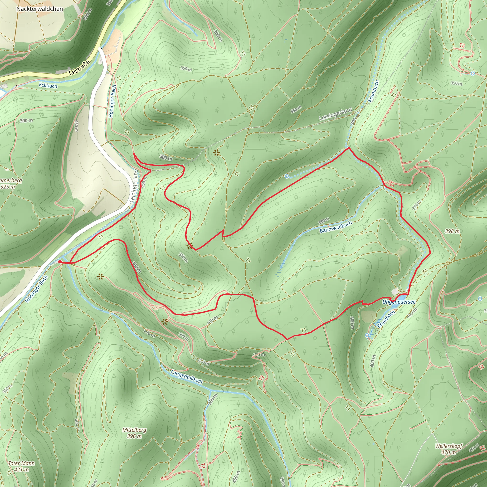 Kesselbrunnen and Ungeheuersee Loop via Pfaelzerwald Gruenes Kreuz mobile static map