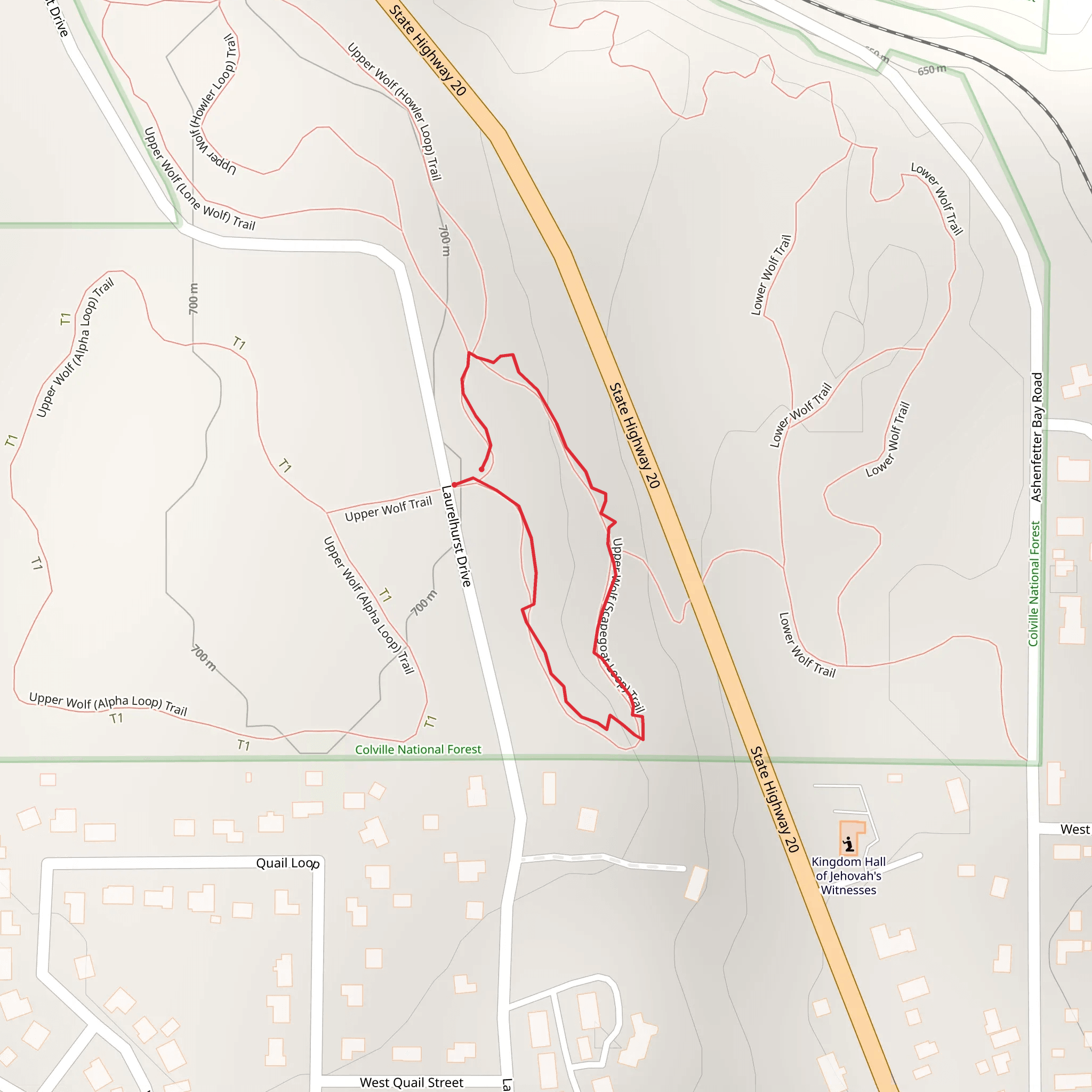 Upper Wolf - Scapegoat Trail mobile static map