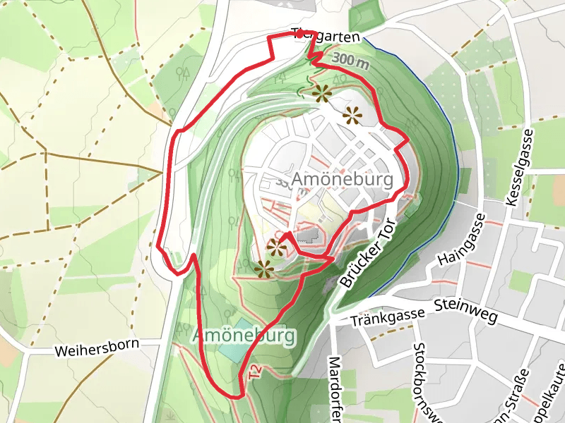 Burg Amöneburg Loop via Amanaburch Tour