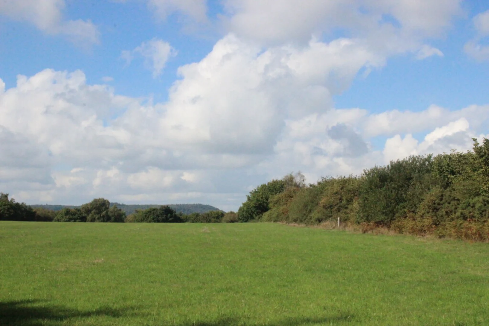 An image depicting the trail Dunscombe Coppice, Donkey Sanctuary and Springcombe and Salcombe Hill Loop and its surrounding area.