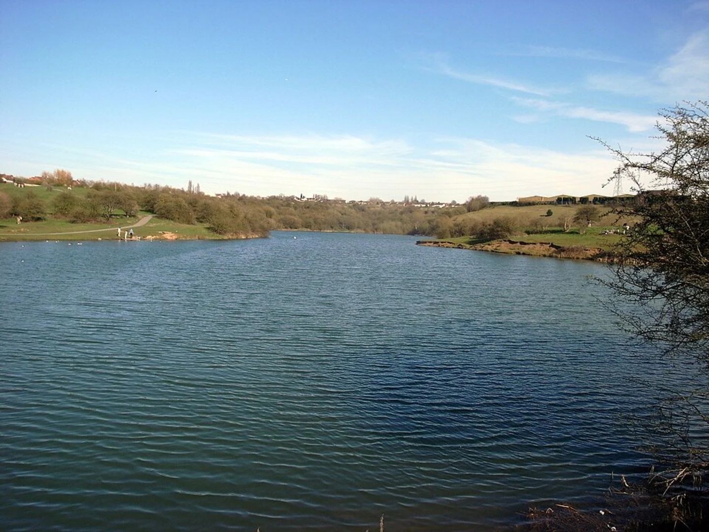 An image depicting the trail Buckpool and Fens Pool Nature Reserve Loop and its surrounding area.