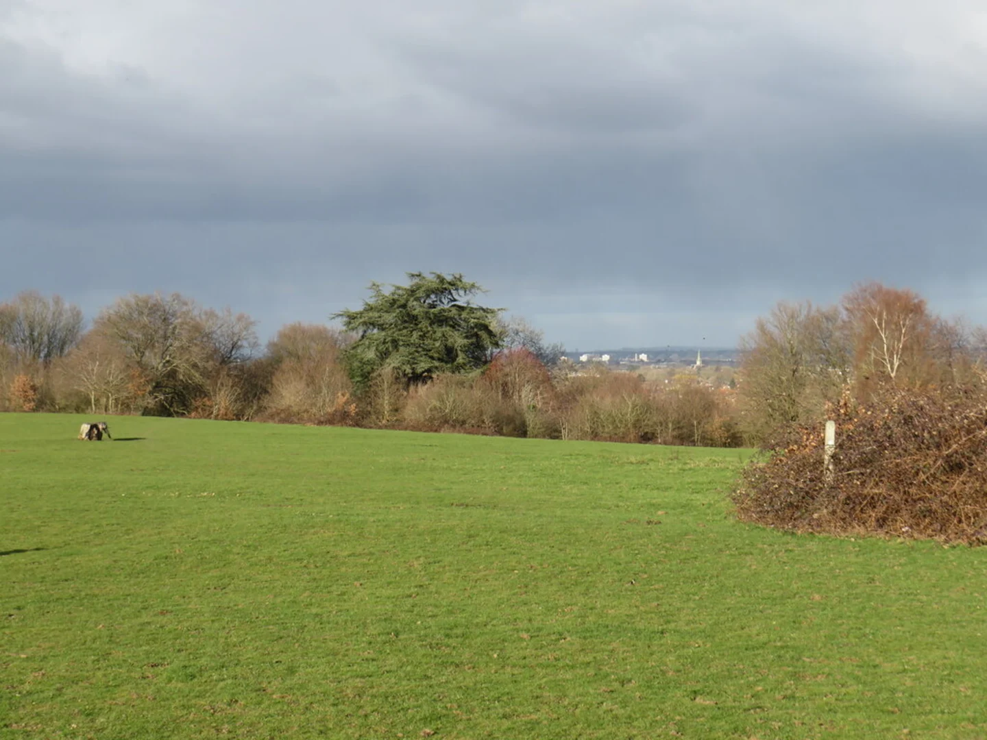 An image depicting the trail Chantry Wood Loop and its surrounding area.