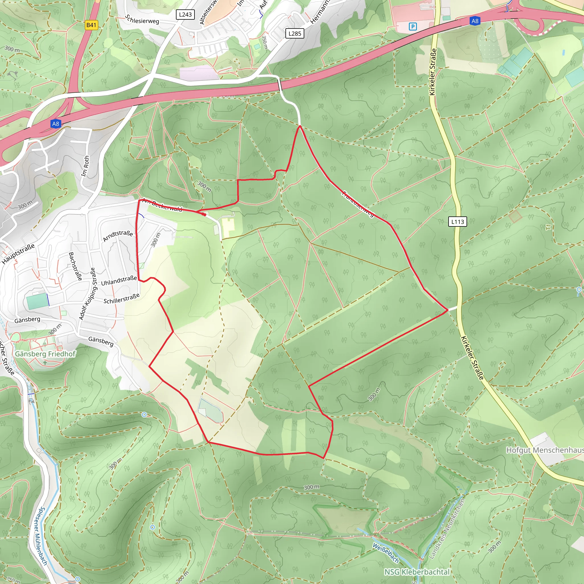Franzosenweg Loop mobile static map