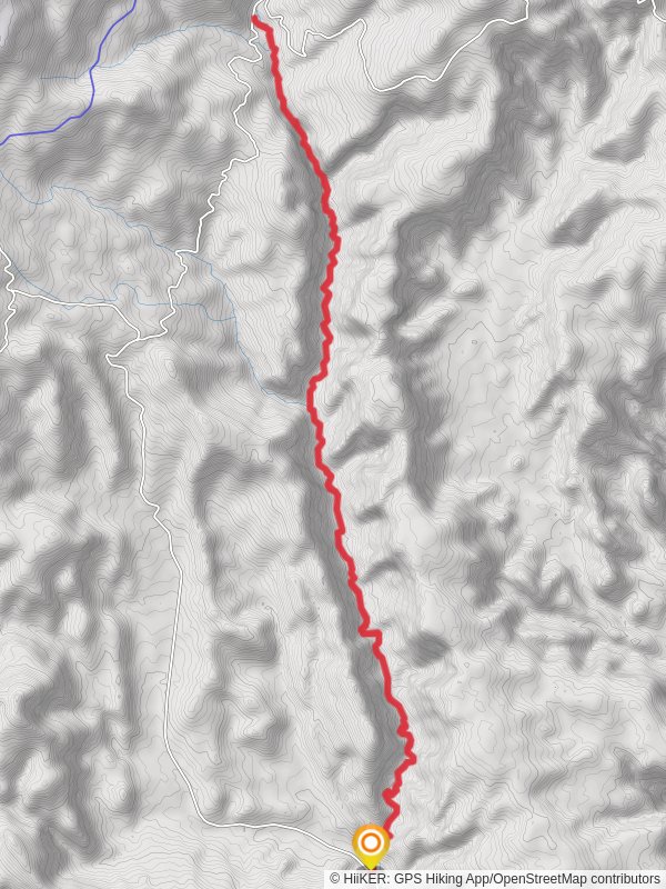 The Pine Creek Box Trail