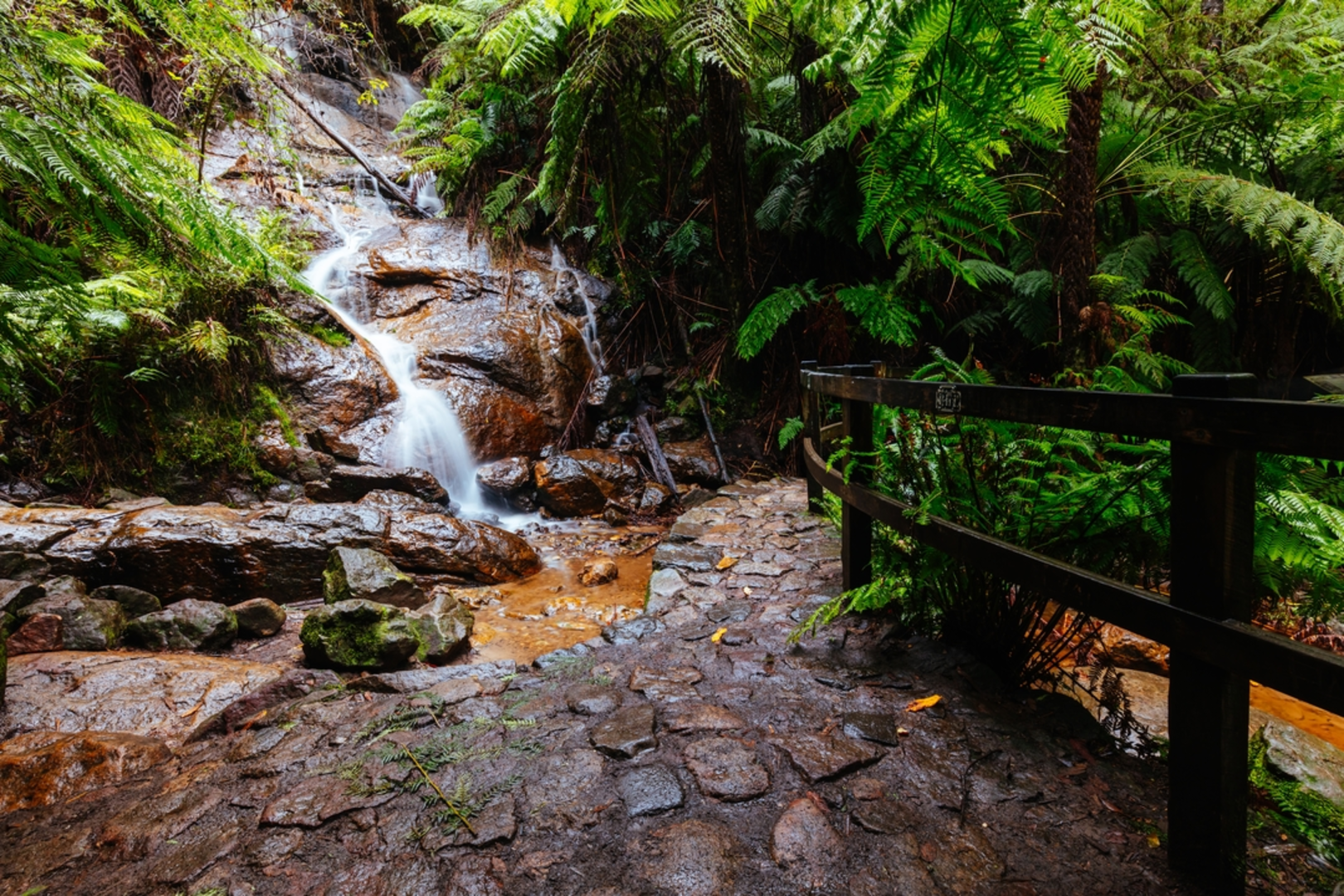An image depicting the trail La La Falls Trail and its surrounding area.