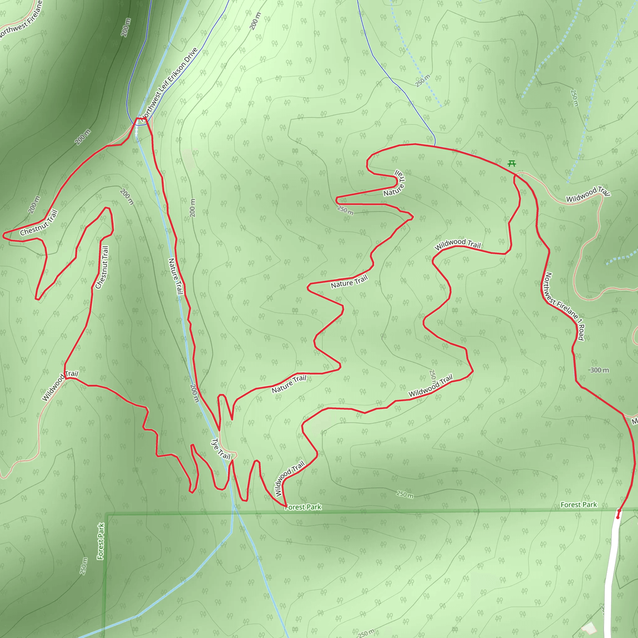 Wildwood, Chestnut and Nature Loop Trail mobile static map