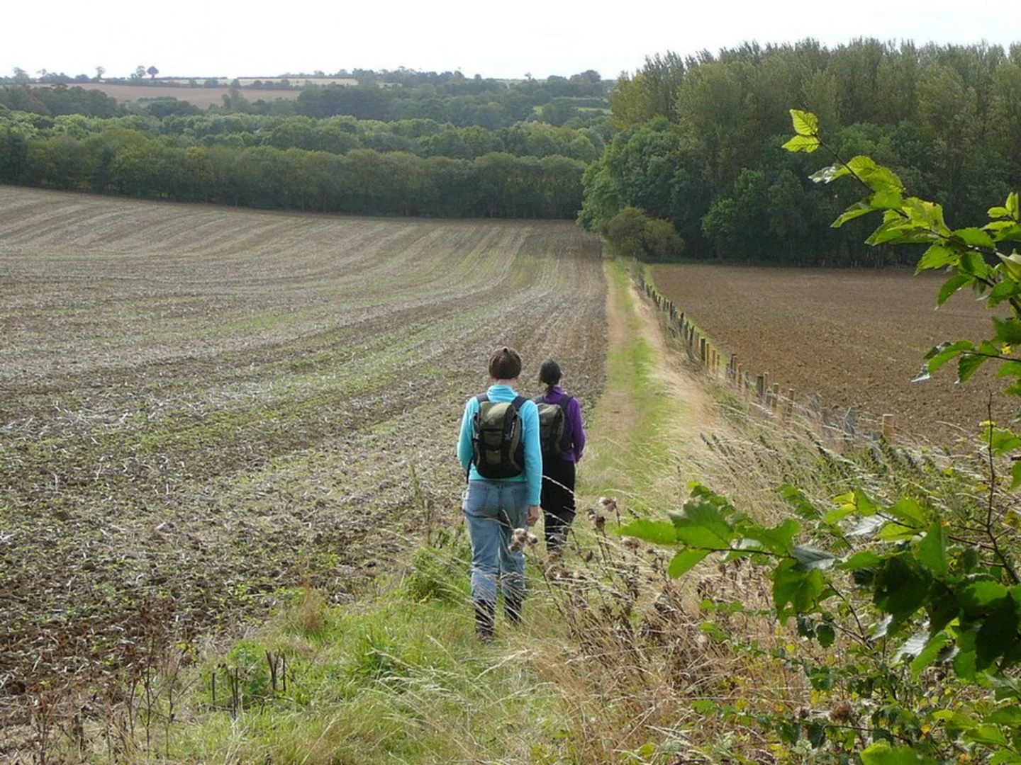 An image depicting the trail Millar Way and Aynho Park Loop and its surrounding area.