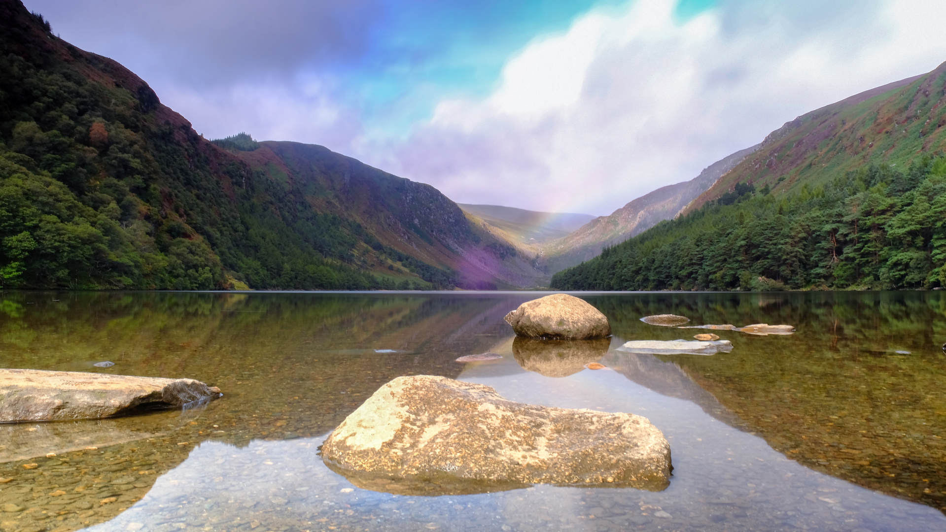 An image depicting the trail Derrybawn Circular and its surrounding area.