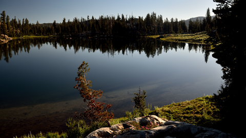 An image depicting the trail Toejam Lake via Gianelli Trail and its surrounding area.
