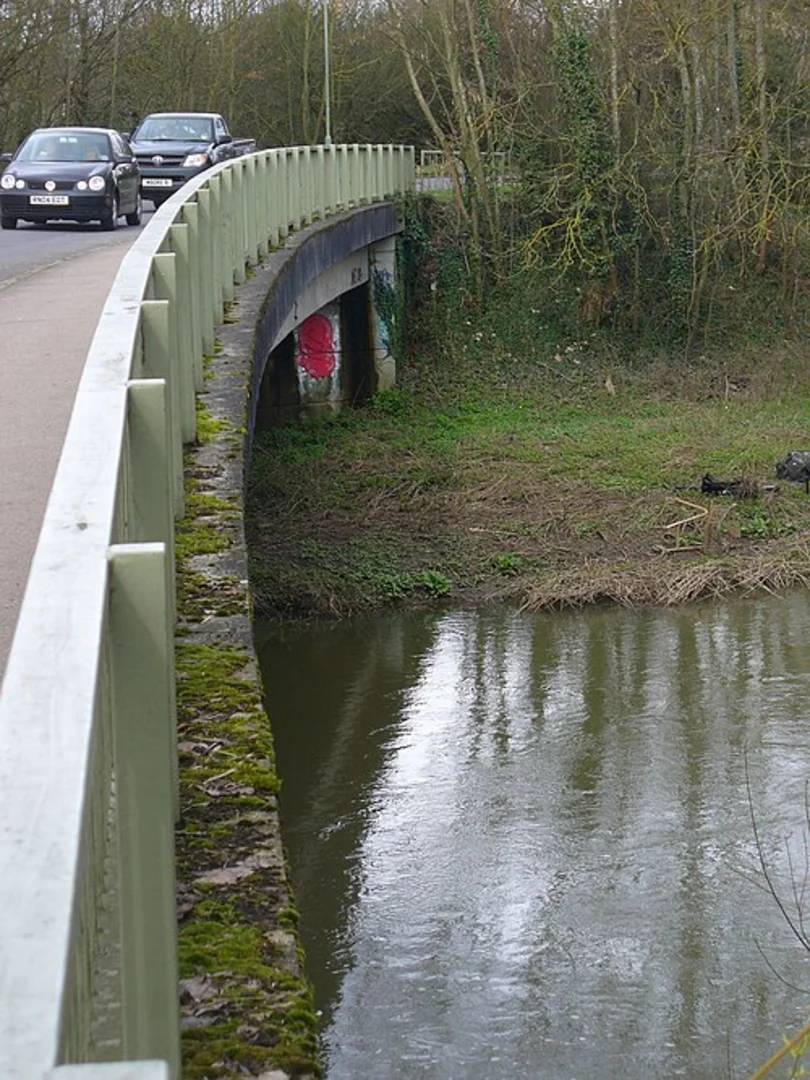 An image depicting the trail Cobham to Hatchford Loop and its surrounding area.