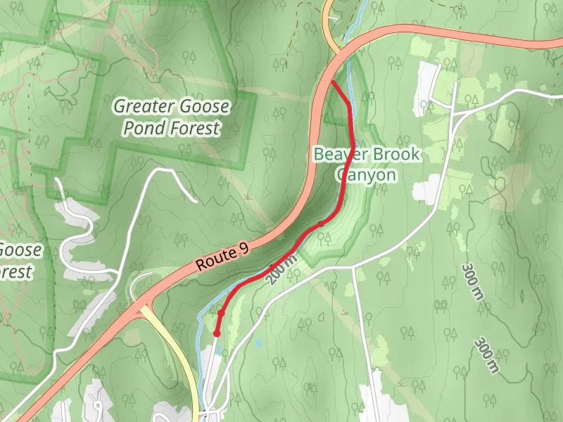 Beaver Brook Natural Area Walk