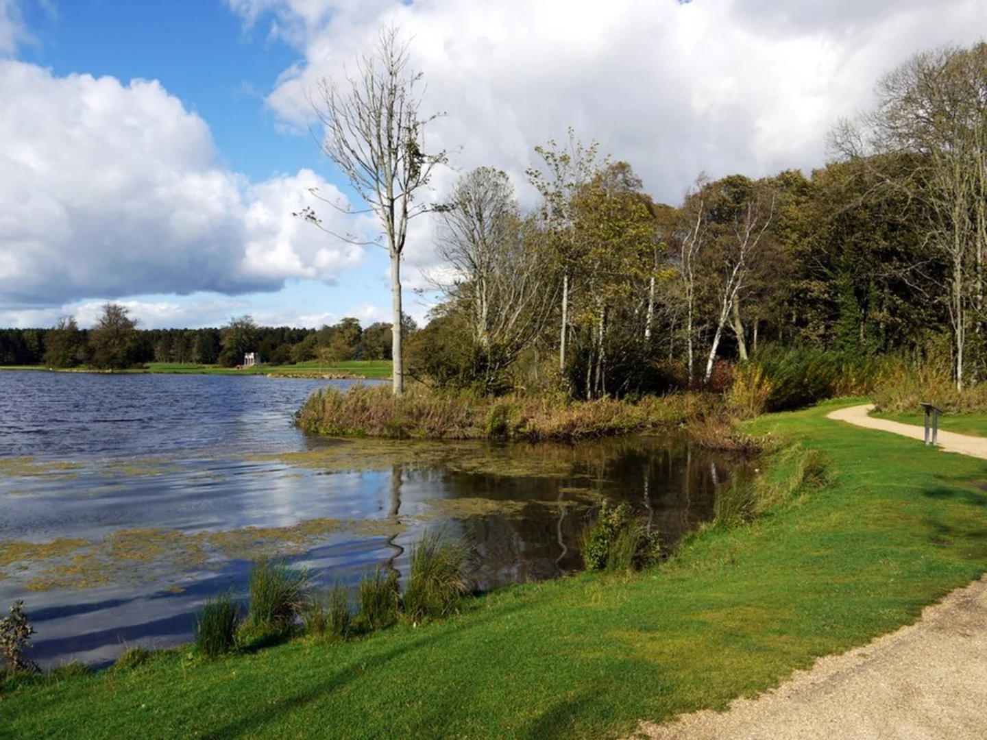 An image depicting the trail Hardwick Park, Carr Wood and Swan Lake Loop Walk and its surrounding area.