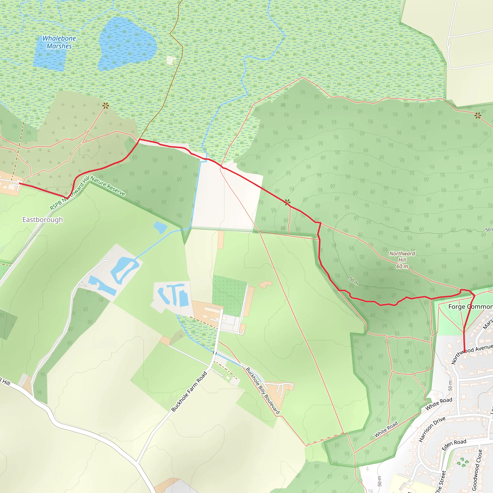 Northward Hill Nature Reserve Walk mobile static map