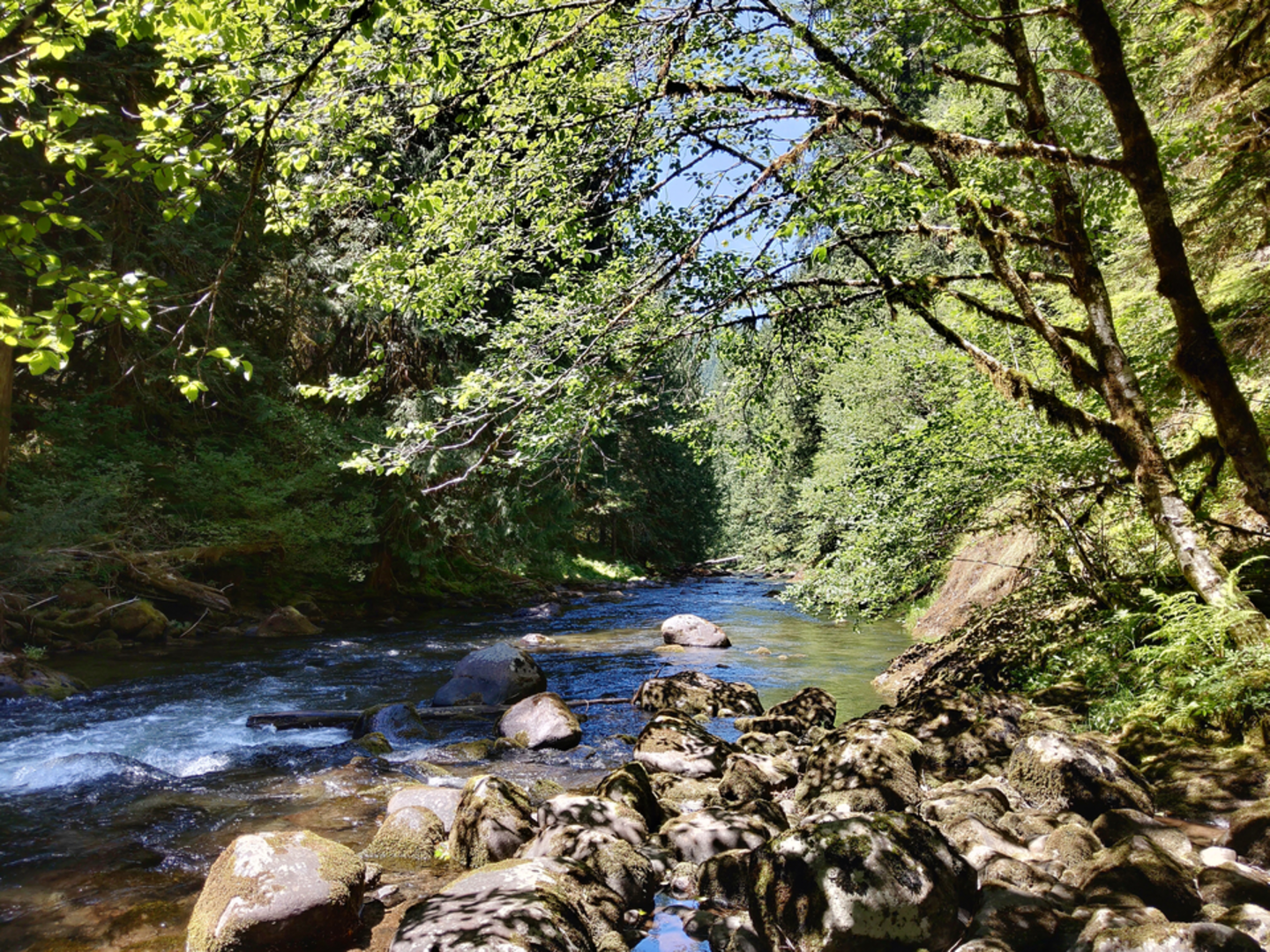 An image depicting the trail Sheepshead Rock and Salmon Mountain via Plaza Trail and its surrounding area.