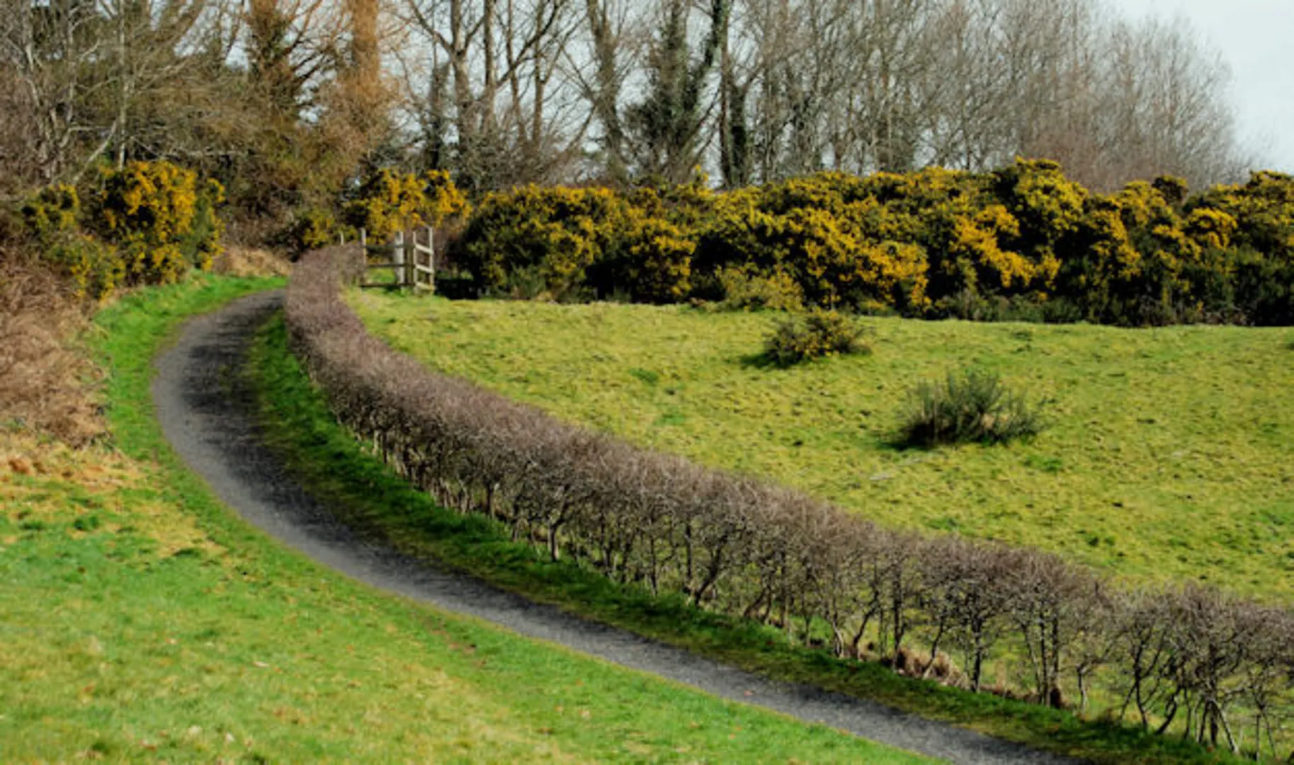 An image depicting the trail Lagan Meadows and its surrounding area.