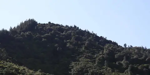 An image depicting the trail Mount Taupiri Track and its surrounding area.