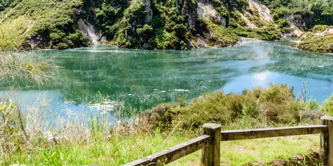 An image depicting the trail Waimangu Thermal Valley Walk and its surrounding area.