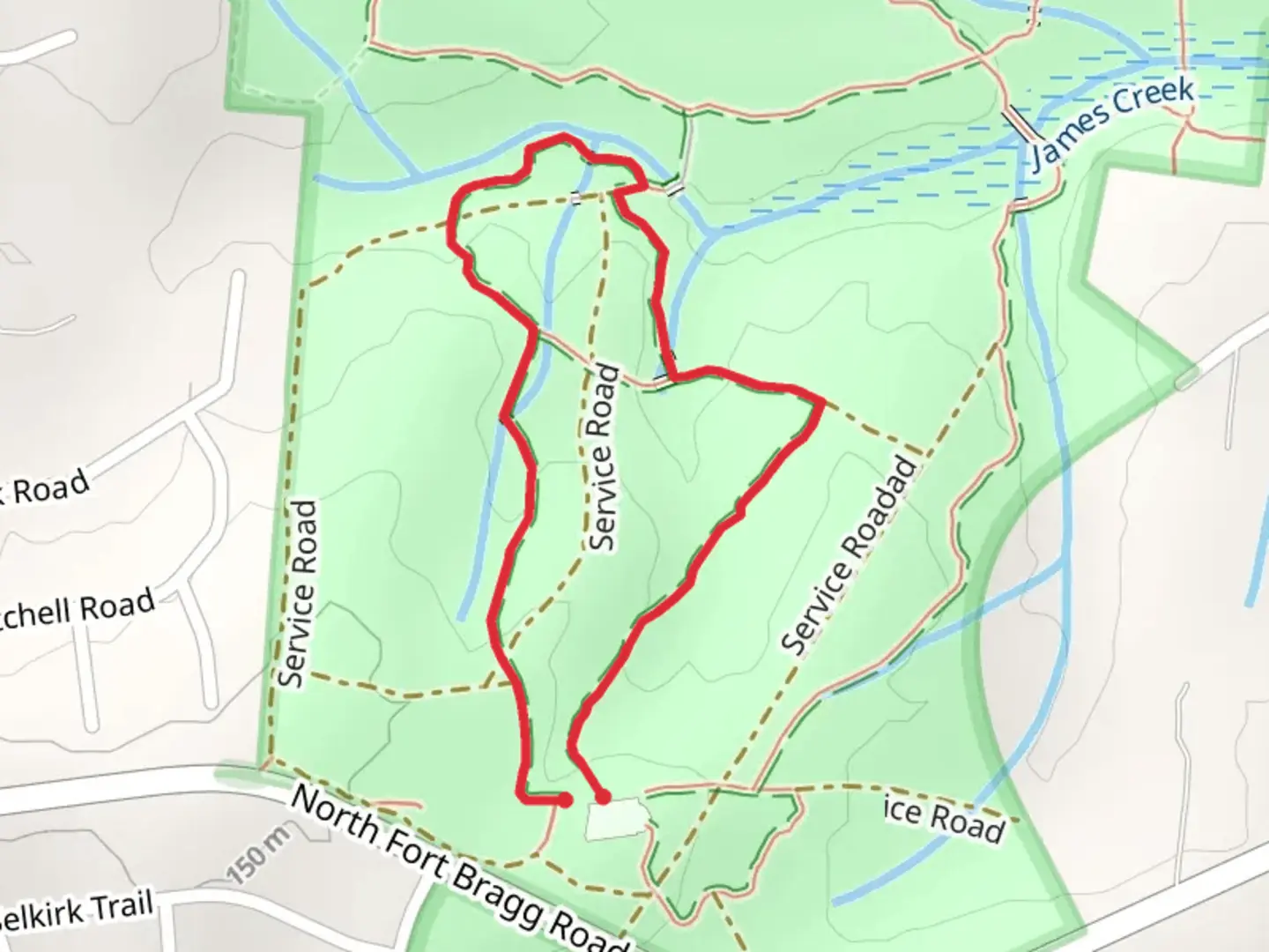 An image depicting the trail Pine Barrens Trail Loop and its surrounding area.