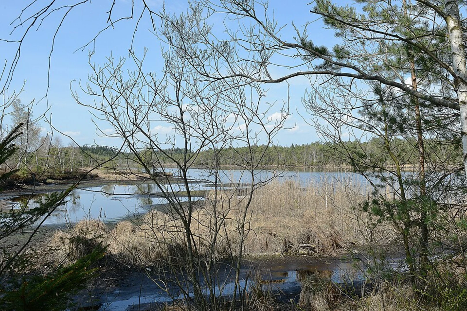 An image depicting the trail Ainringer Moos Loop and its surrounding area.
