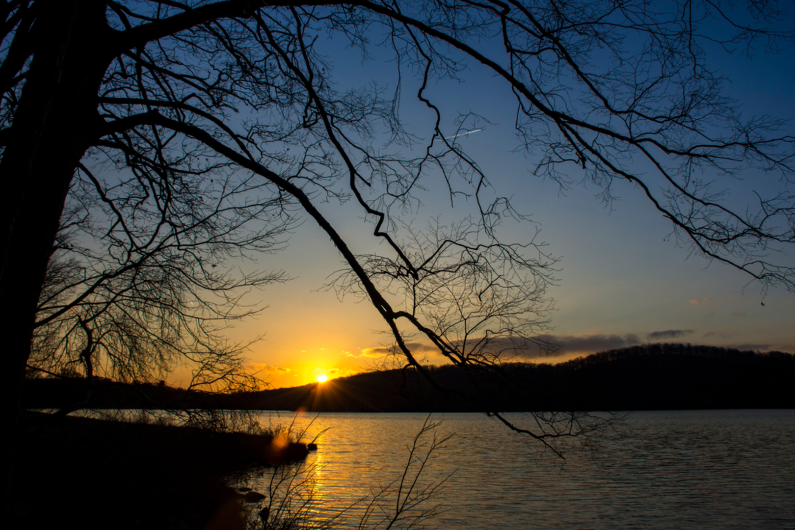 An image depicting the trail Sebago Lake State Park Loop and its surrounding area.