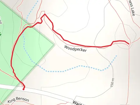 Pawpaw Valley Trail and Woodpecker