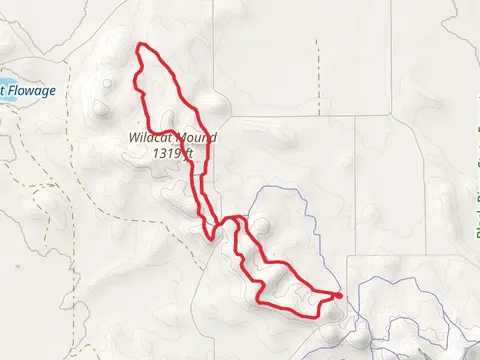 Norway pine, Wild Cat and Red Oak Loop