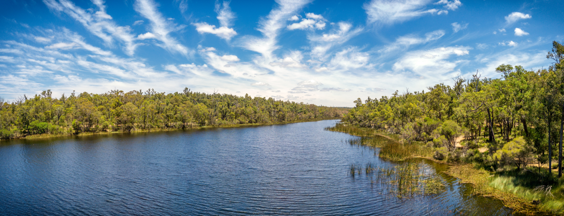 An image depicting the trail Chidlow Trail and its surrounding area.