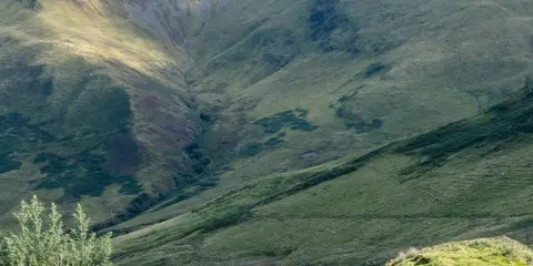 An image depicting the trail Foel Caerynwch Path - Dolgellau and its surrounding area.