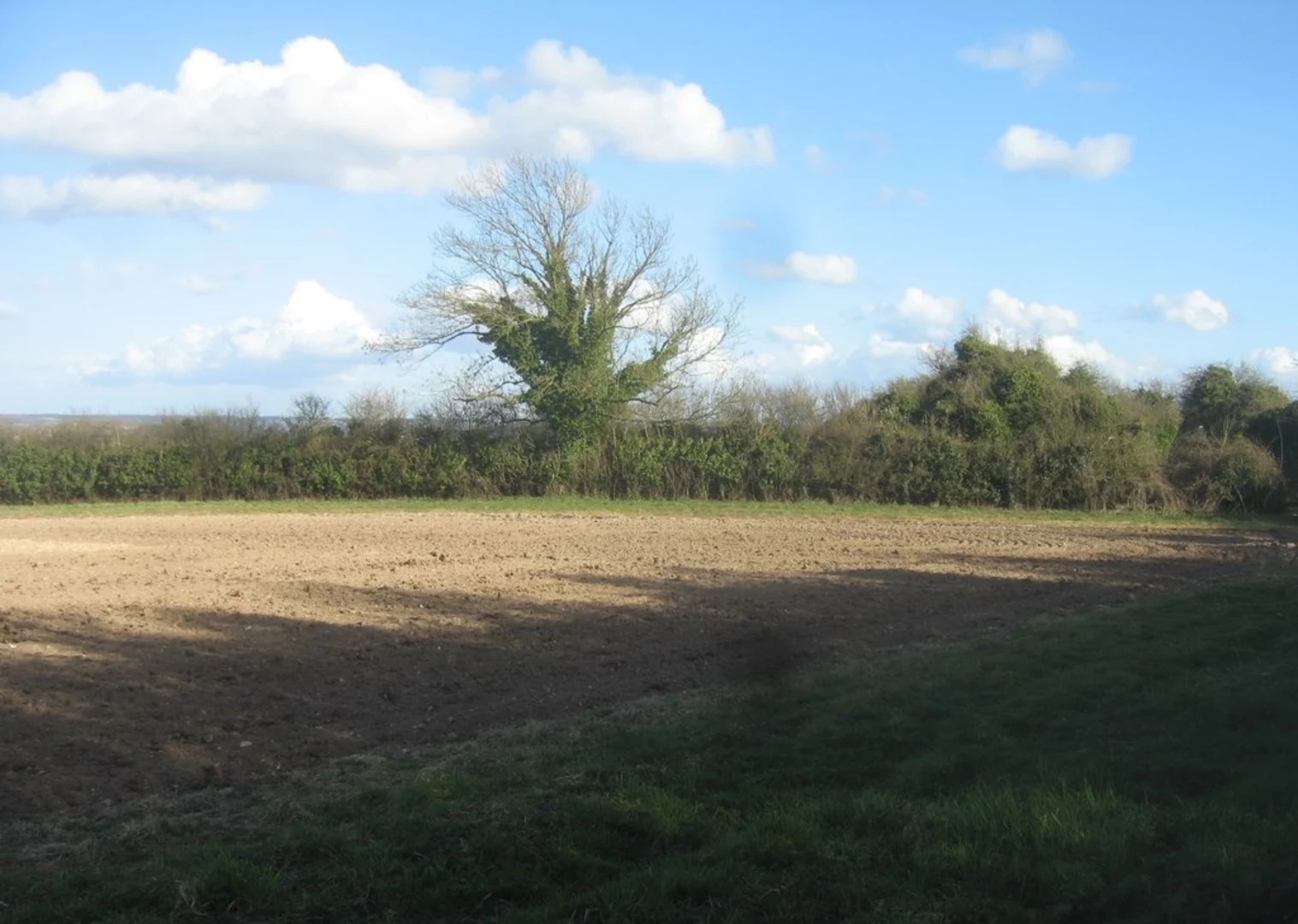An image depicting the trail Oxdrove Way and its surrounding area.