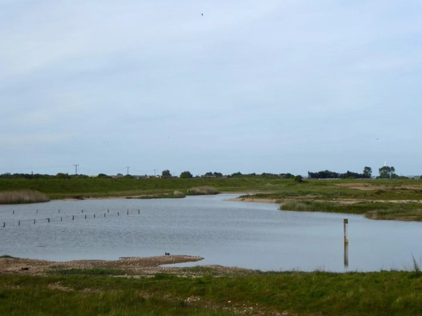 An image depicting the trail Rye Harbour Nature Reserve Loop and its surrounding area.