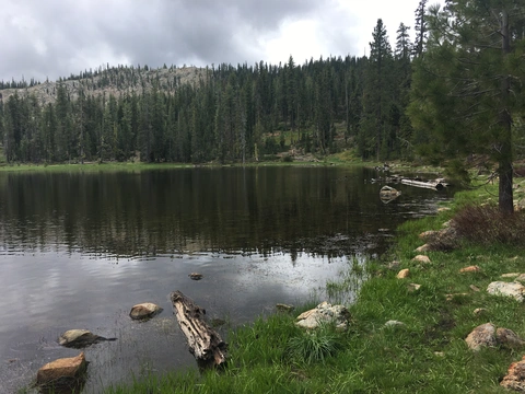 An image depicting the trail Gumboot Lake Trail and its surrounding area.
