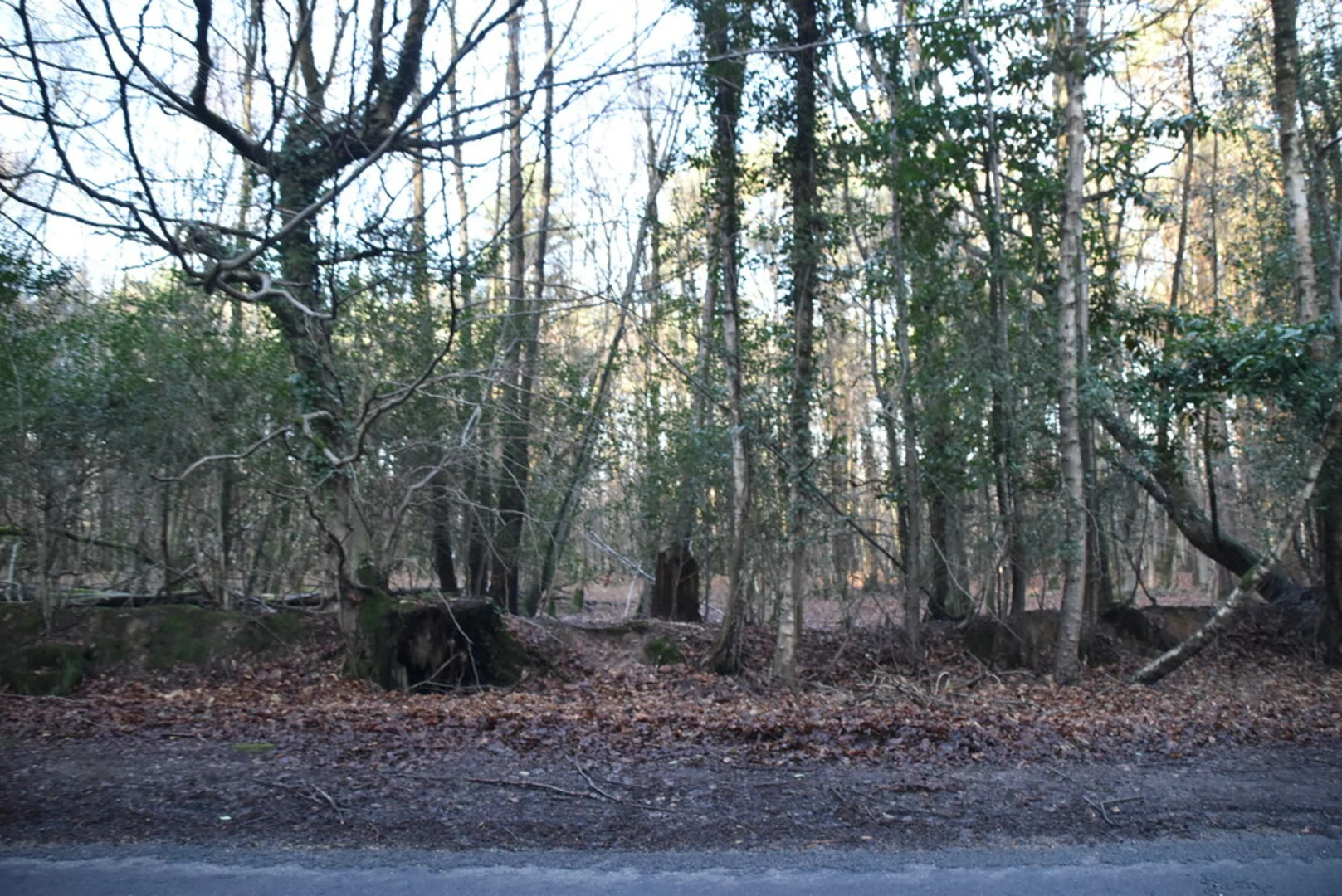 An image depicting the trail Church Hatch, Hartfield and Withyham Loop via Five Hundred Acre Wood and its surrounding area.