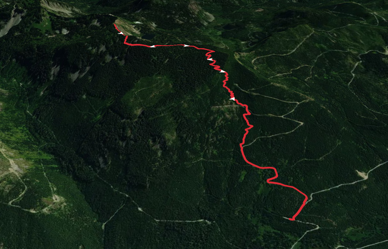 Mount Margaret via Lake Lillian Trail