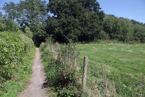 An image depicting the trail Clayton Recreation Ground Loop and its surrounding area.