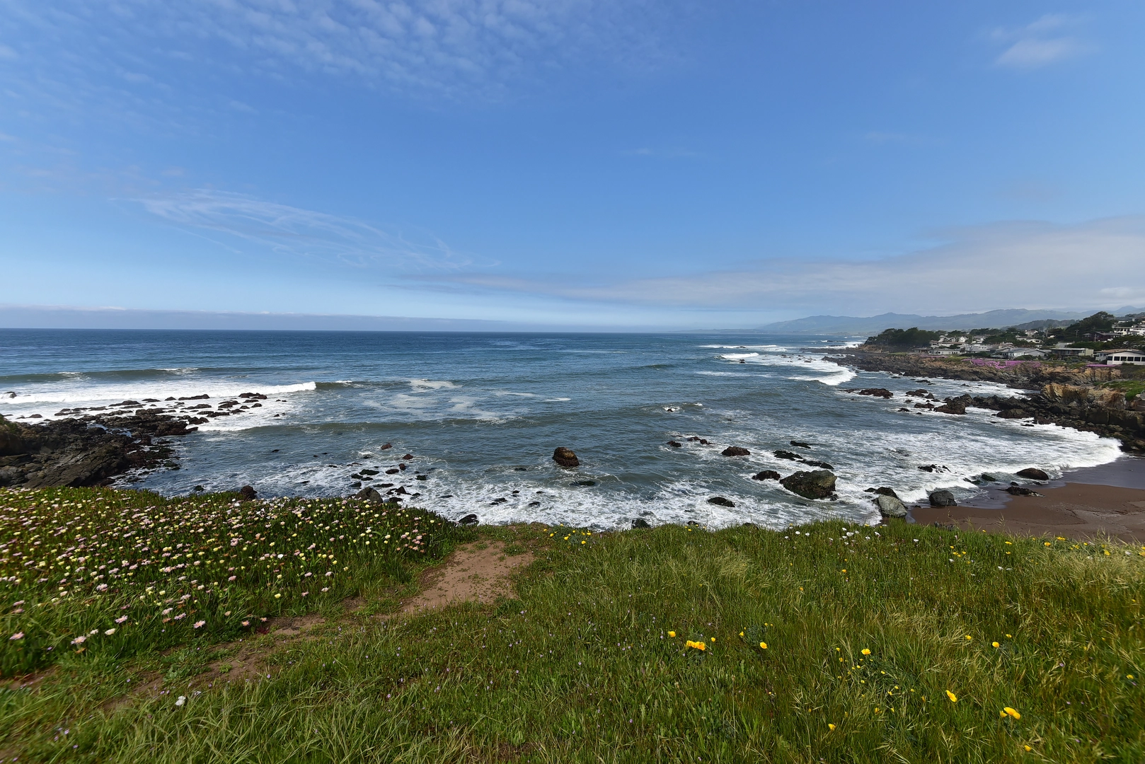 An image depicting the trail Bluff and Marine Terrace Loop Trail and its surrounding area.