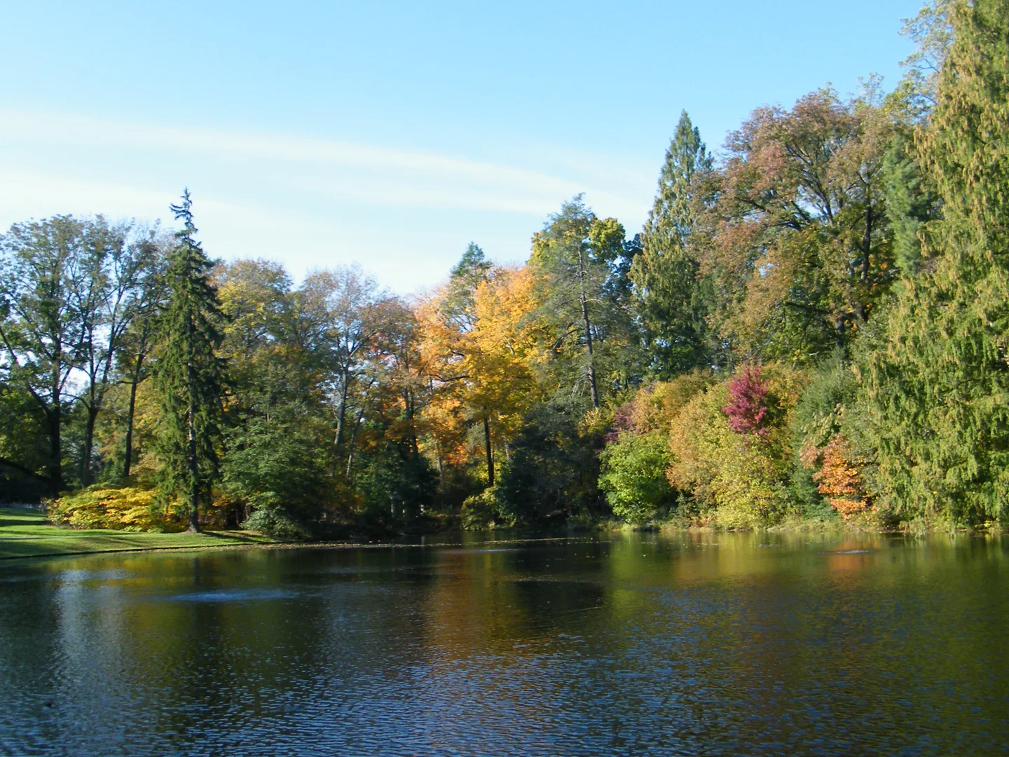 An image depicting the trail Kennett Square Reservoir Loop and its surrounding area.