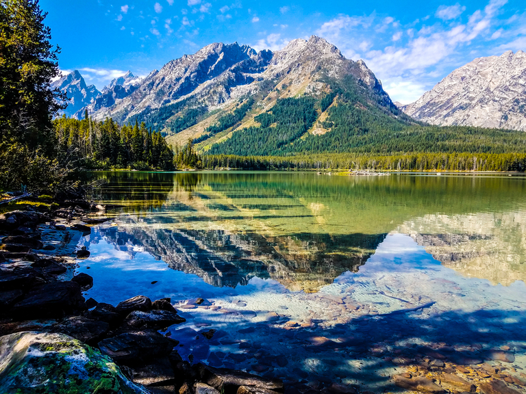 An image depicting the trail Leigh Lake Trail and its surrounding area.