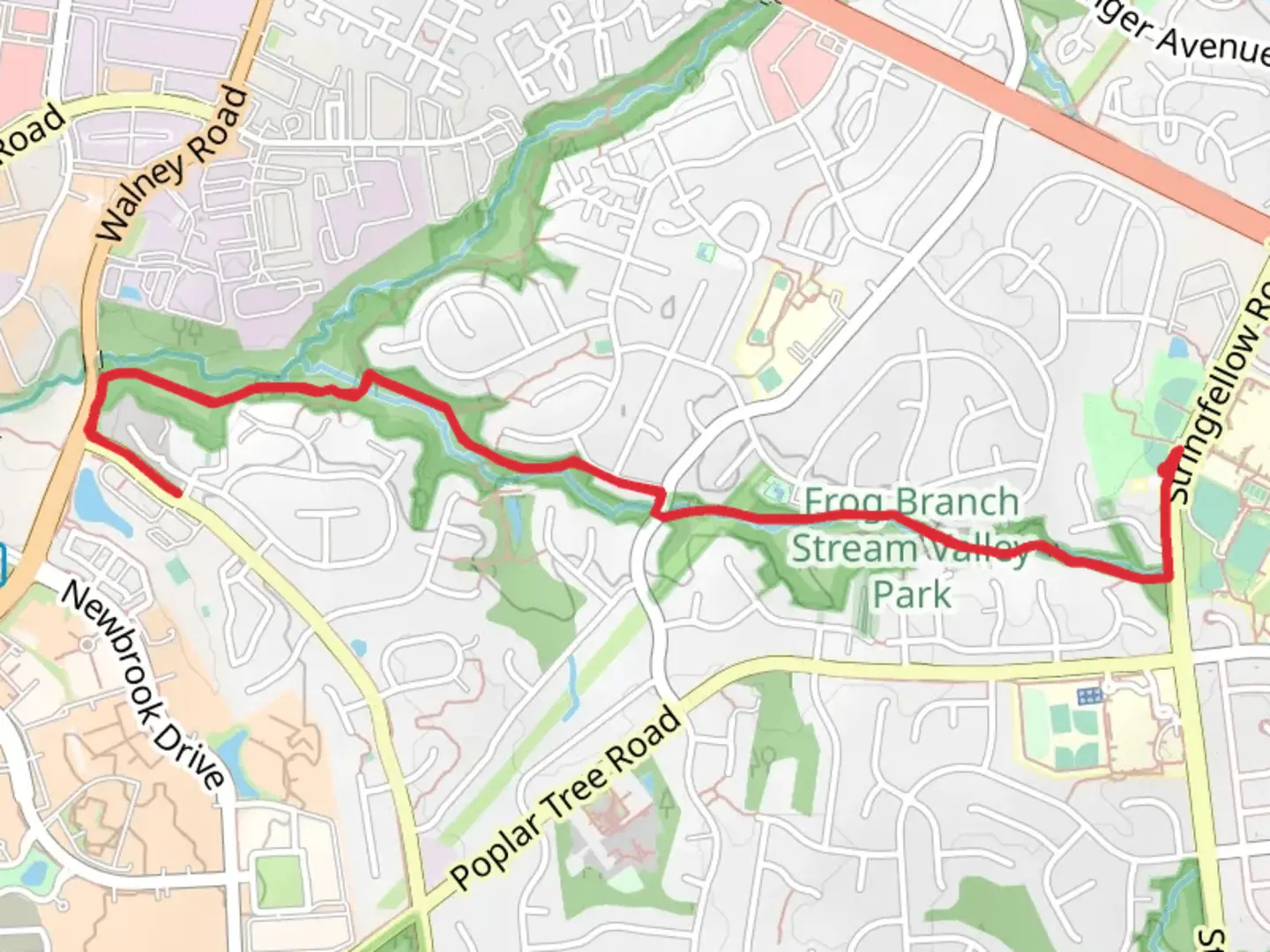 An image depicting the trail Frog Branch Creek and its surrounding area.