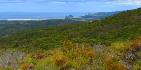 An image depicting the trail Whangaparapara - Te Ahumata Track and its surrounding area.