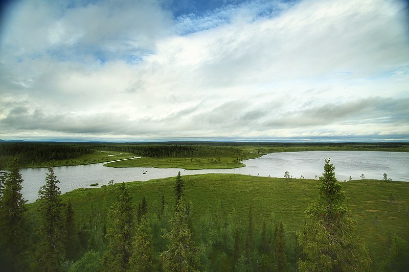 An image depicting the trail Muddus National Park and its surrounding area.