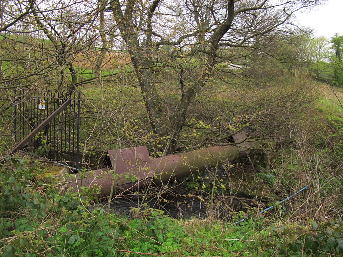 An image depicting the trail Murgatroyd Wood and its surrounding area.