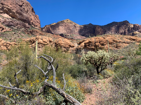 An image depicting the trail Bull Pasture - Estes Canyon Loop Trail and its surrounding area.