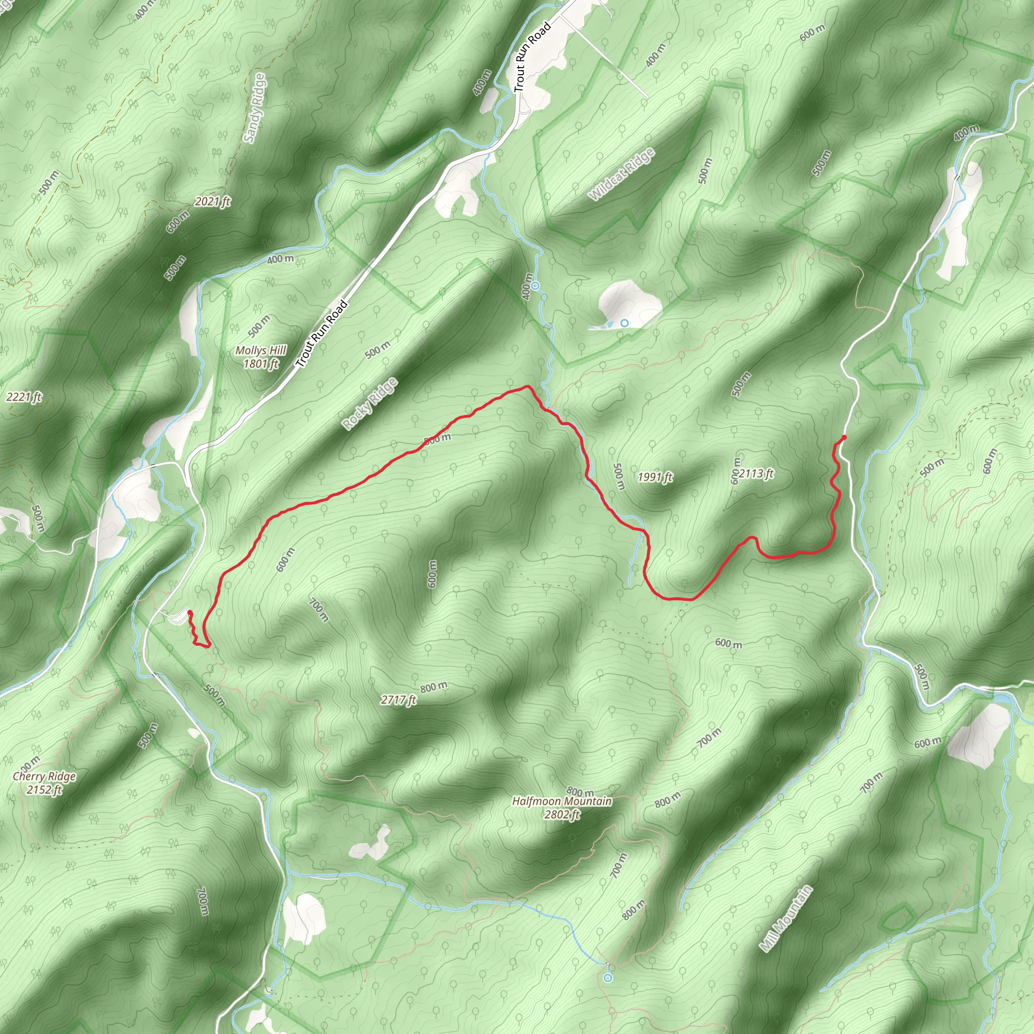 Bucktail Trail mobile static map