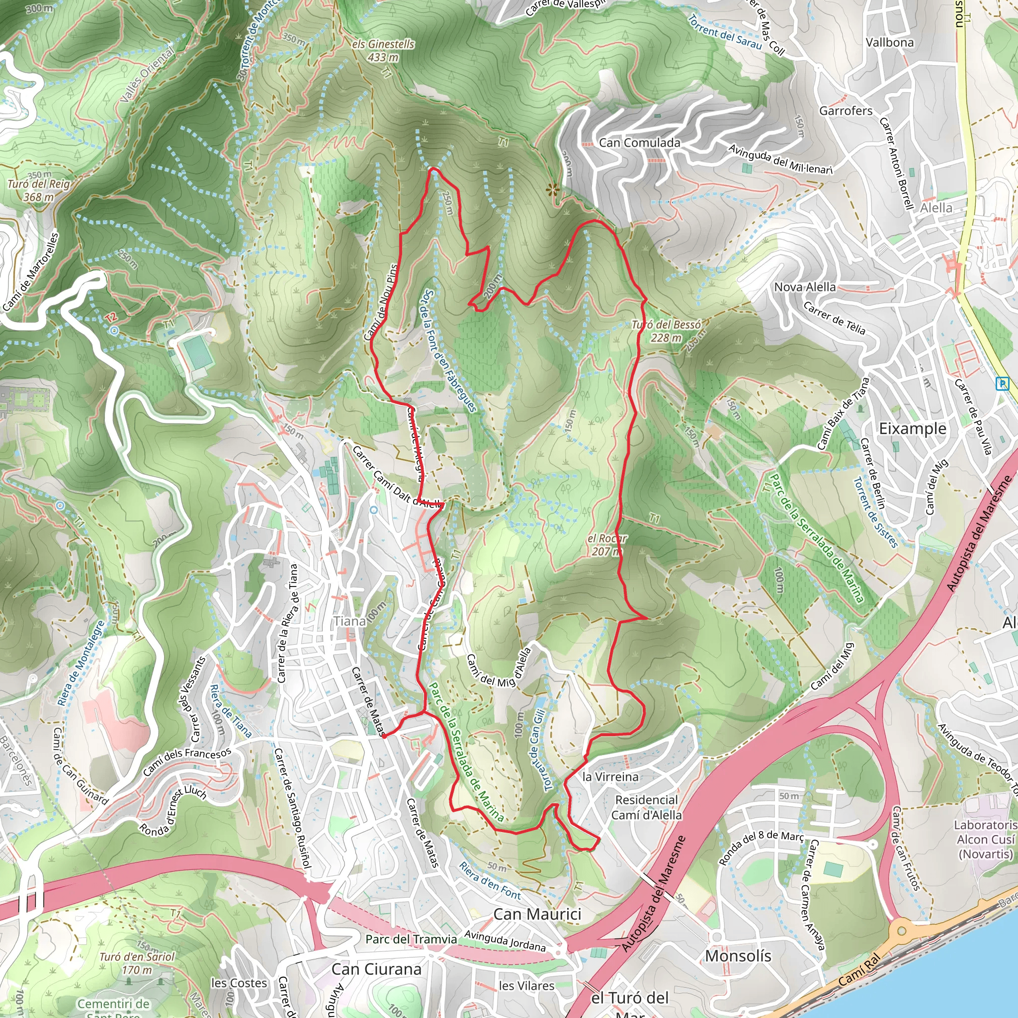 Rock Trail Discovering Tiana's Environment SL C 96 mobile static map