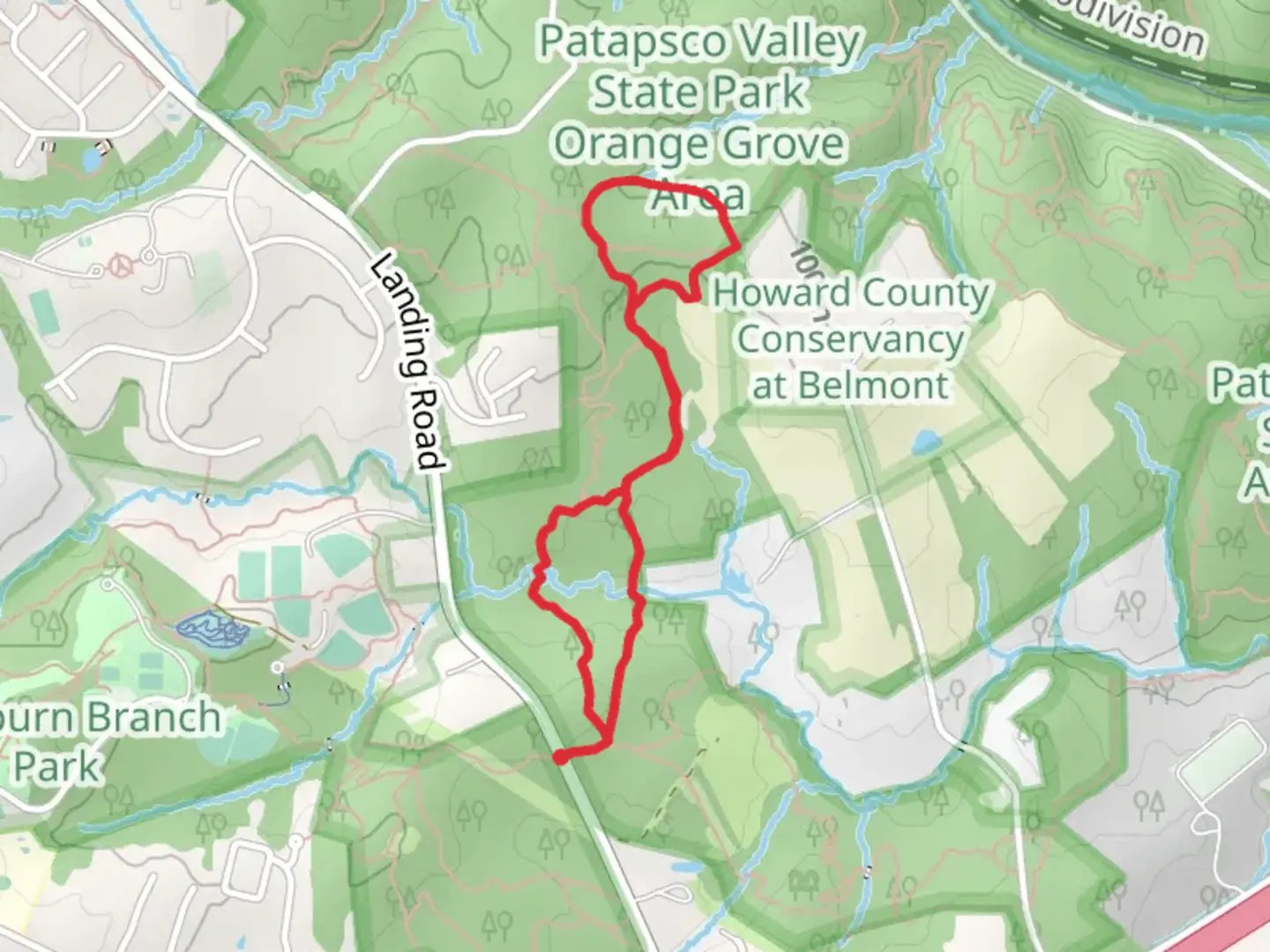An image depicting the trail Morning Choice and Log Loop Trail and its surrounding area.