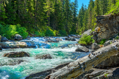 An image depicting the trail Paris Creek Trail and its surrounding area.