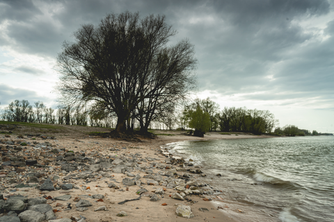 Dinkel via Tweetepad and Lutterzand Weg