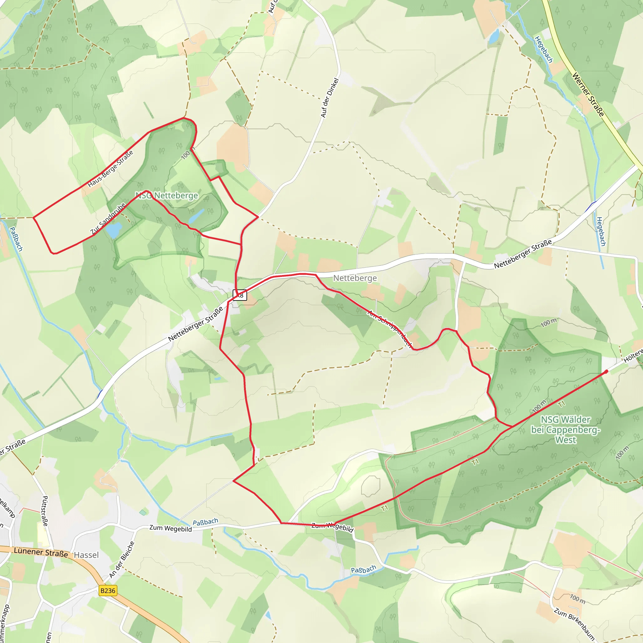 NSG Netteberge Loop mobile static map