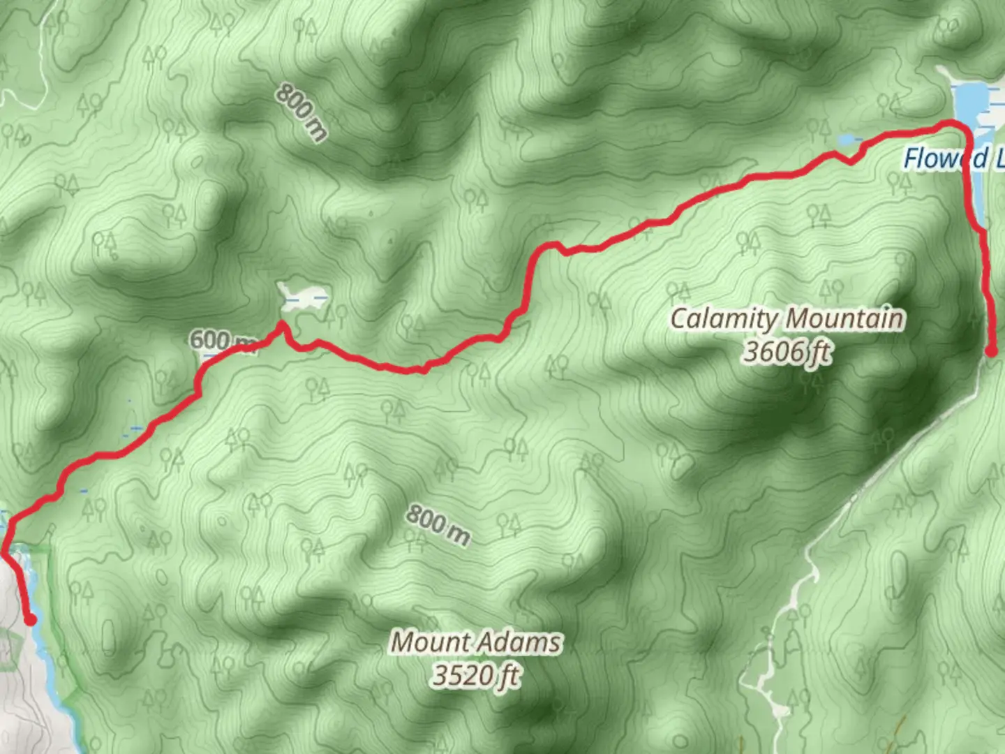 An image depicting the trail Flowed Lake via Calamity Brook Trail and its surrounding area.