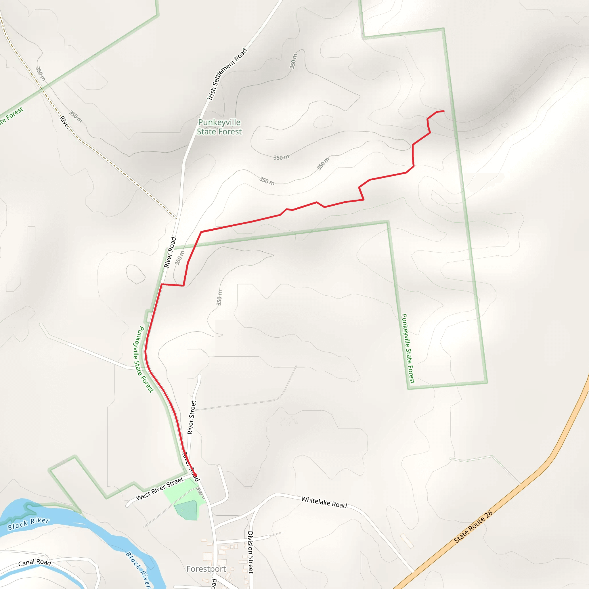 River Road Trail - Forestport mobile static map